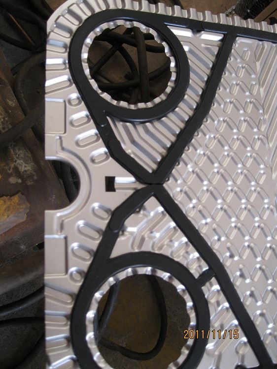 照片 296